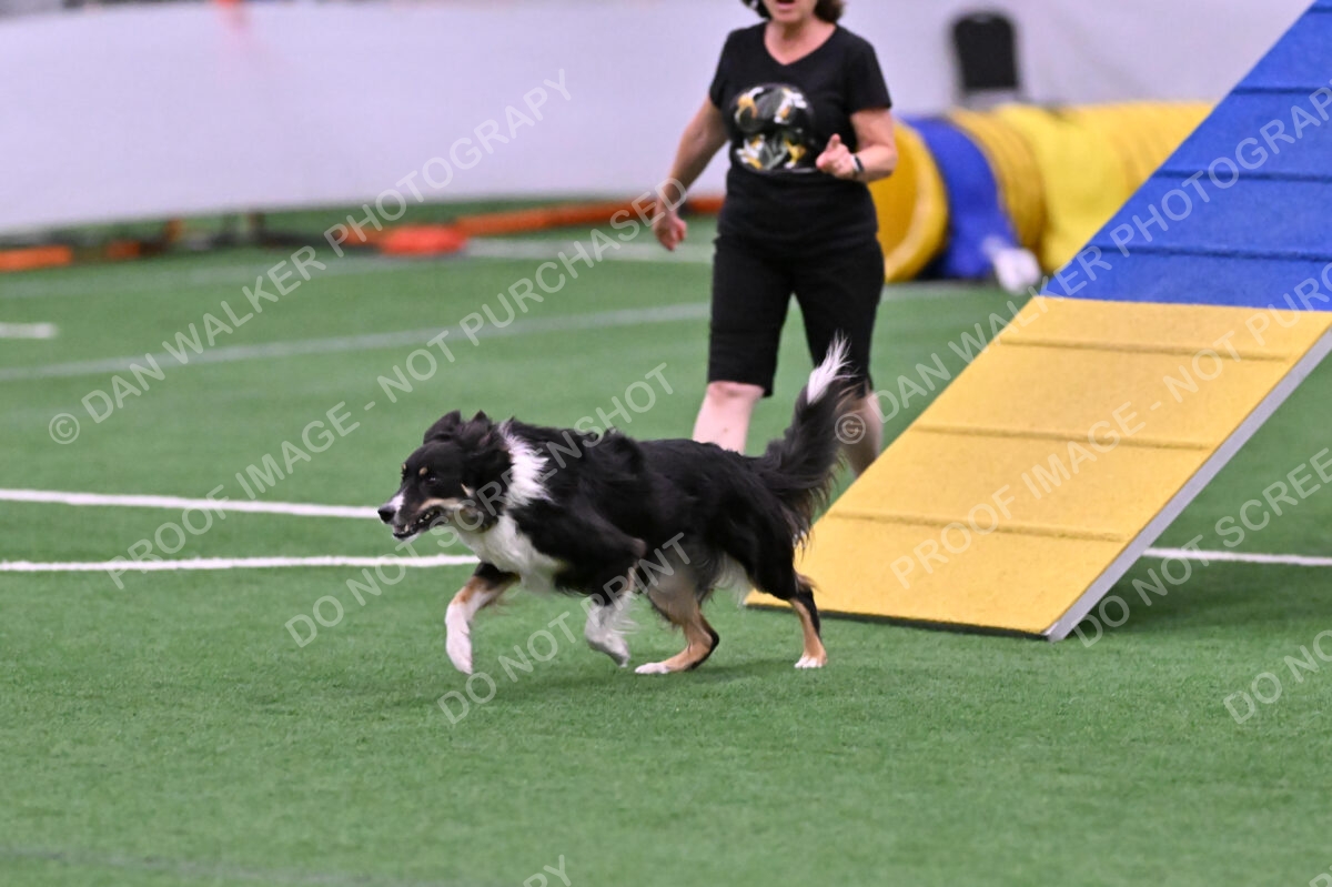 Mickey-Carolyn-Lincoln-04779