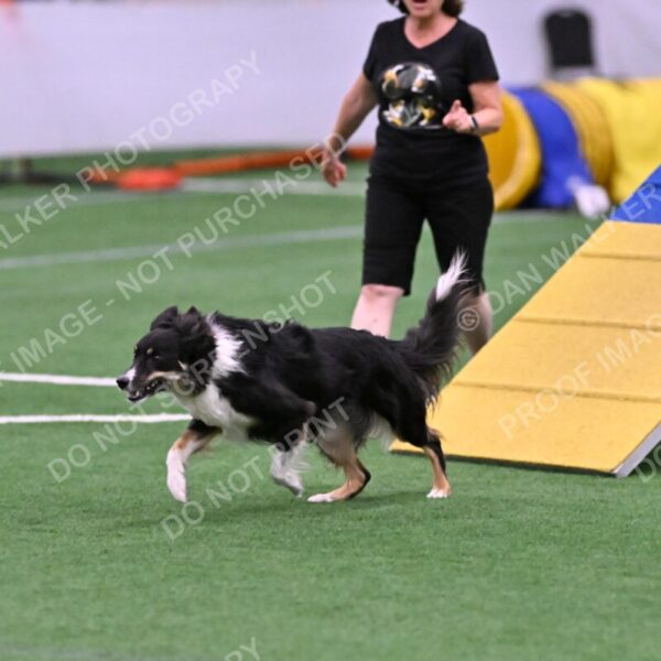 Mickey-Carolyn-Lincoln-04779