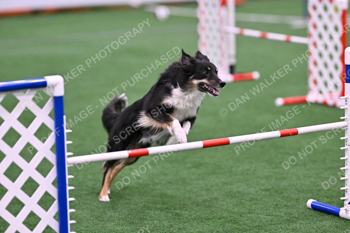 Mickey-Carolyn-Lincoln-04783