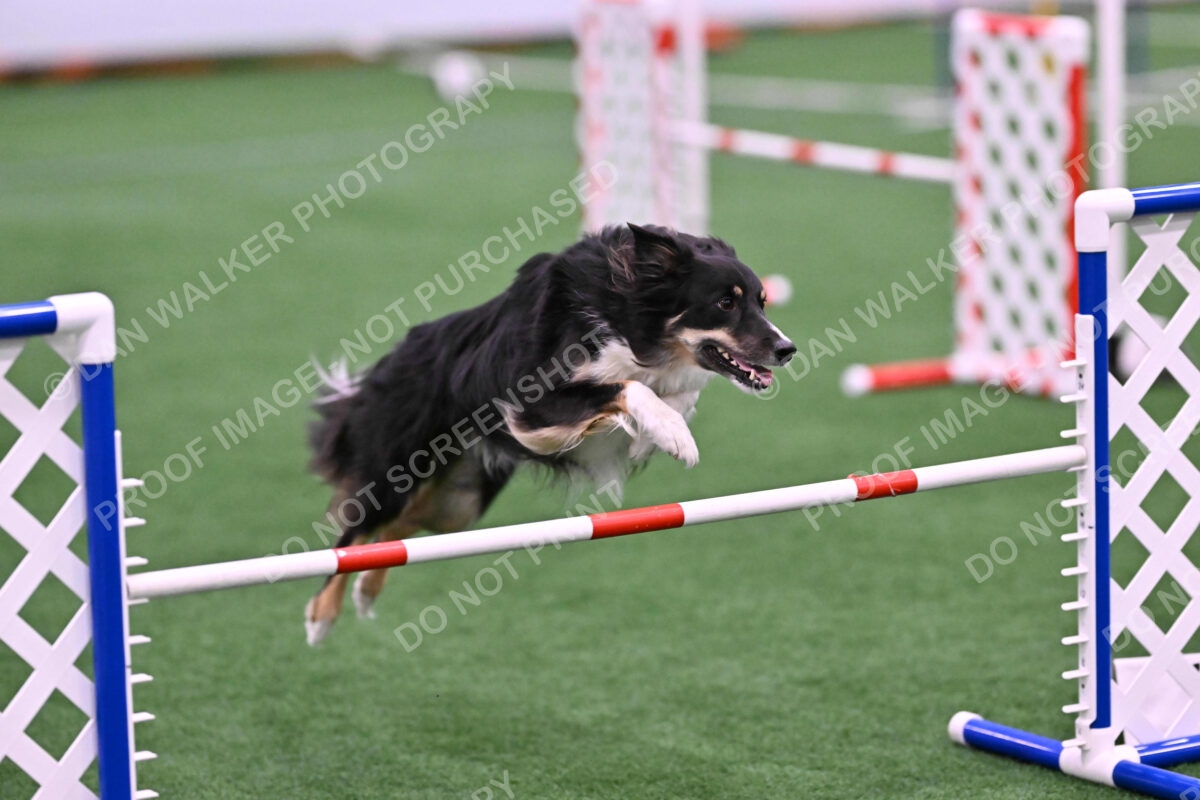 Mickey-Carolyn-Lincoln-04784