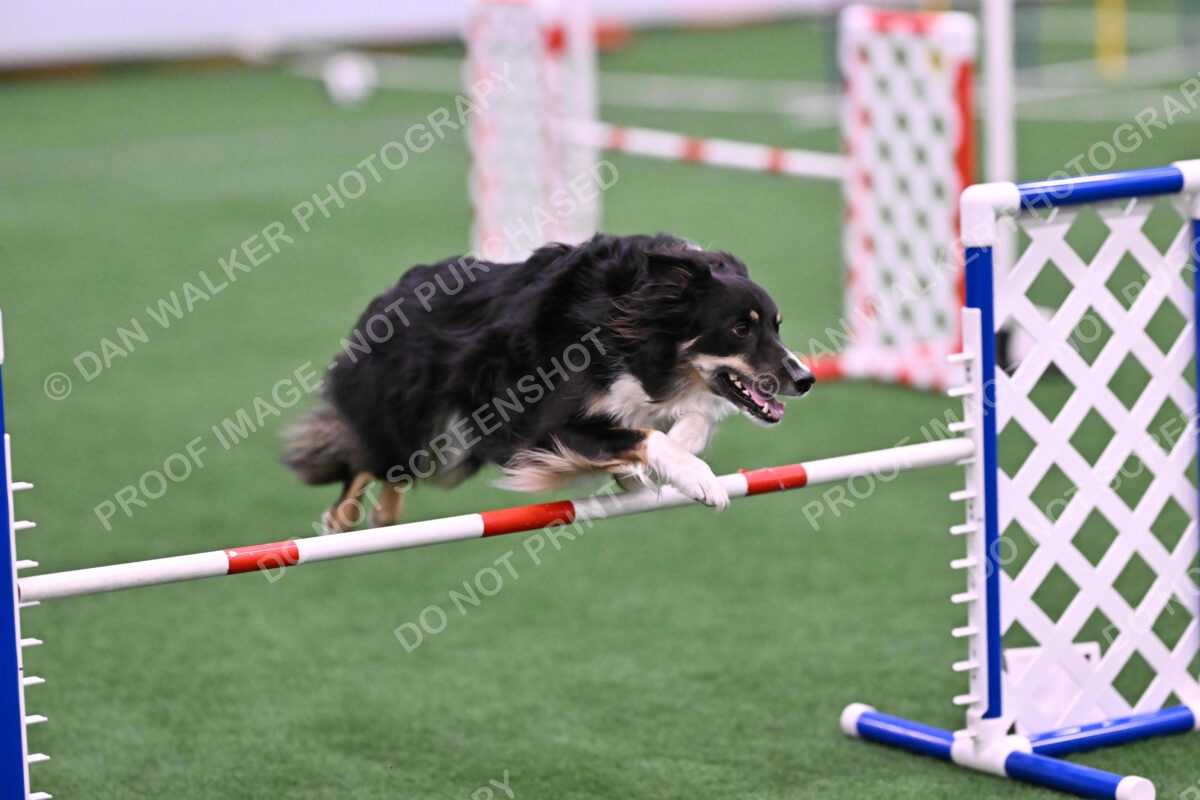 Mickey-Carolyn-Lincoln-04785