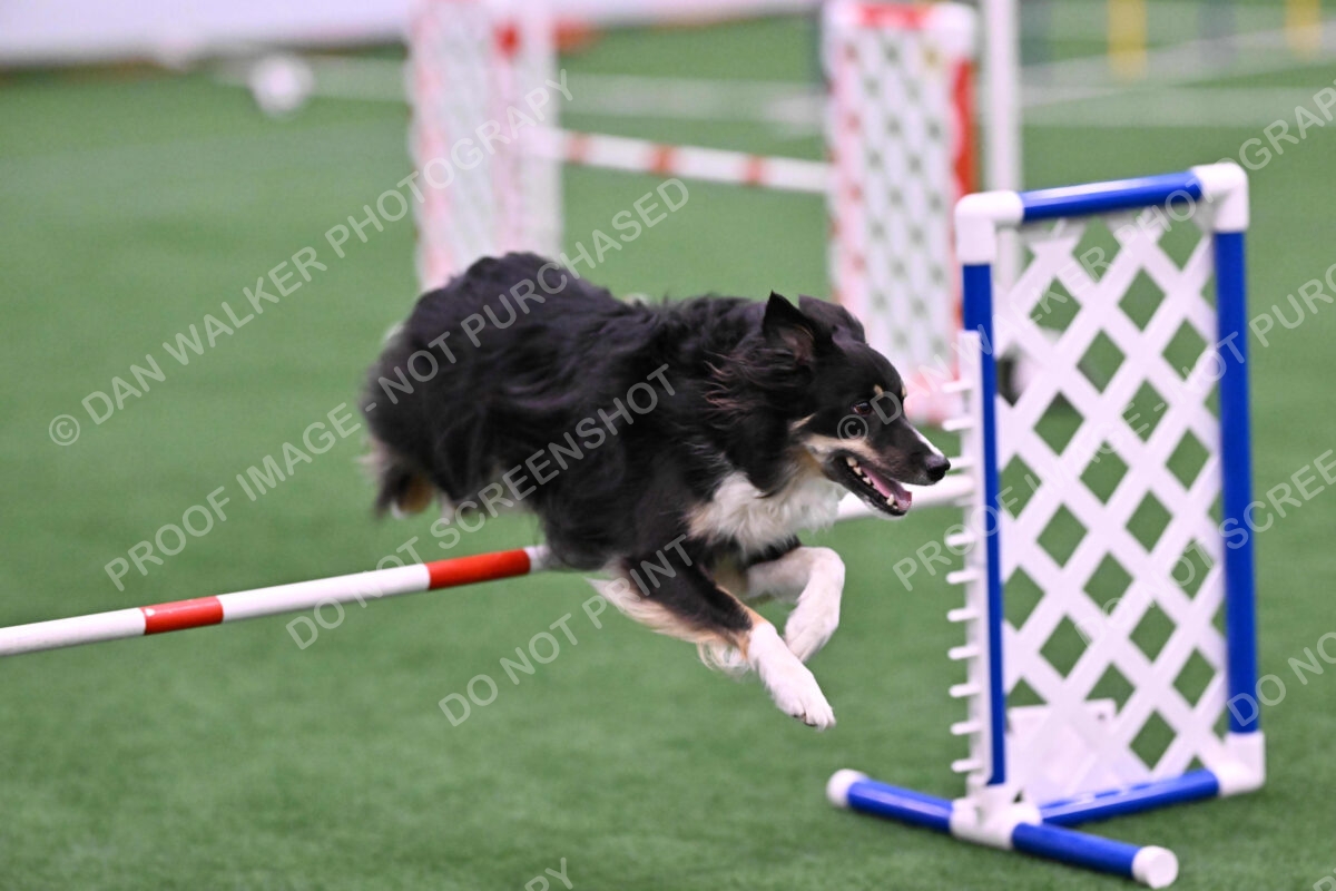 Mickey-Carolyn-Lincoln-04786