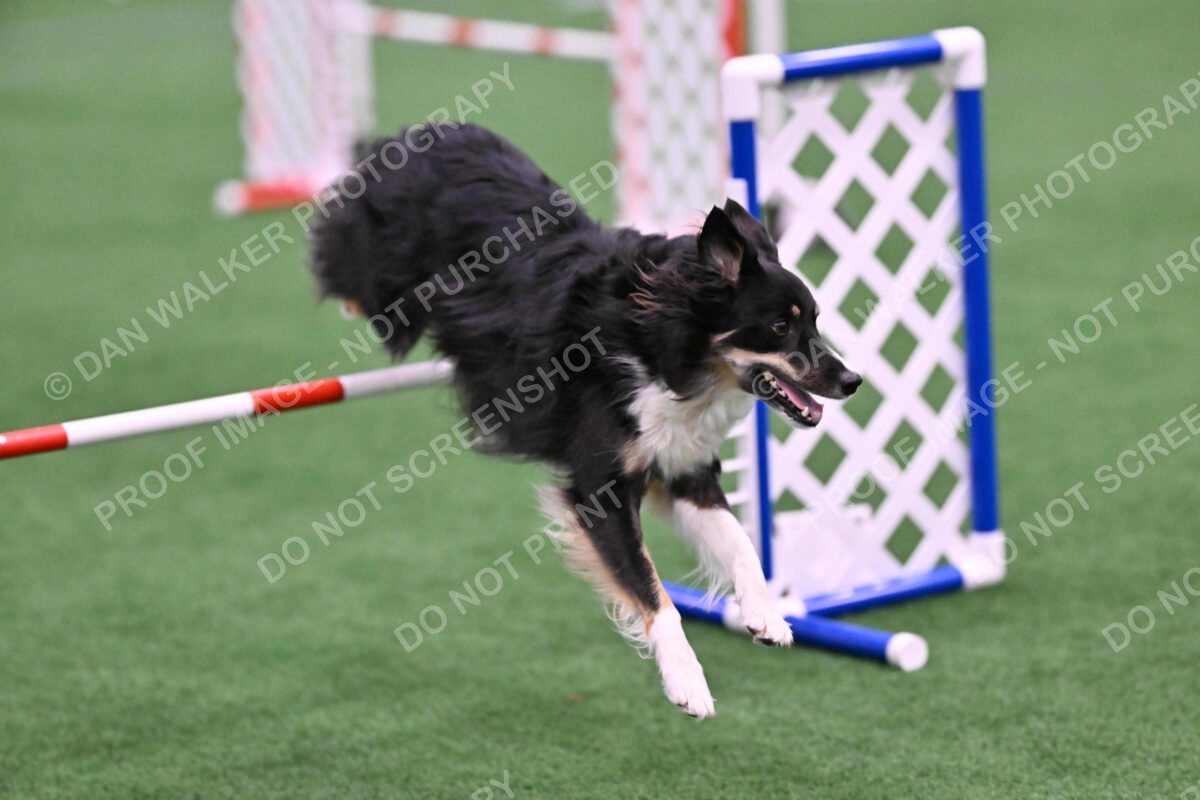 Mickey-Carolyn-Lincoln-04787