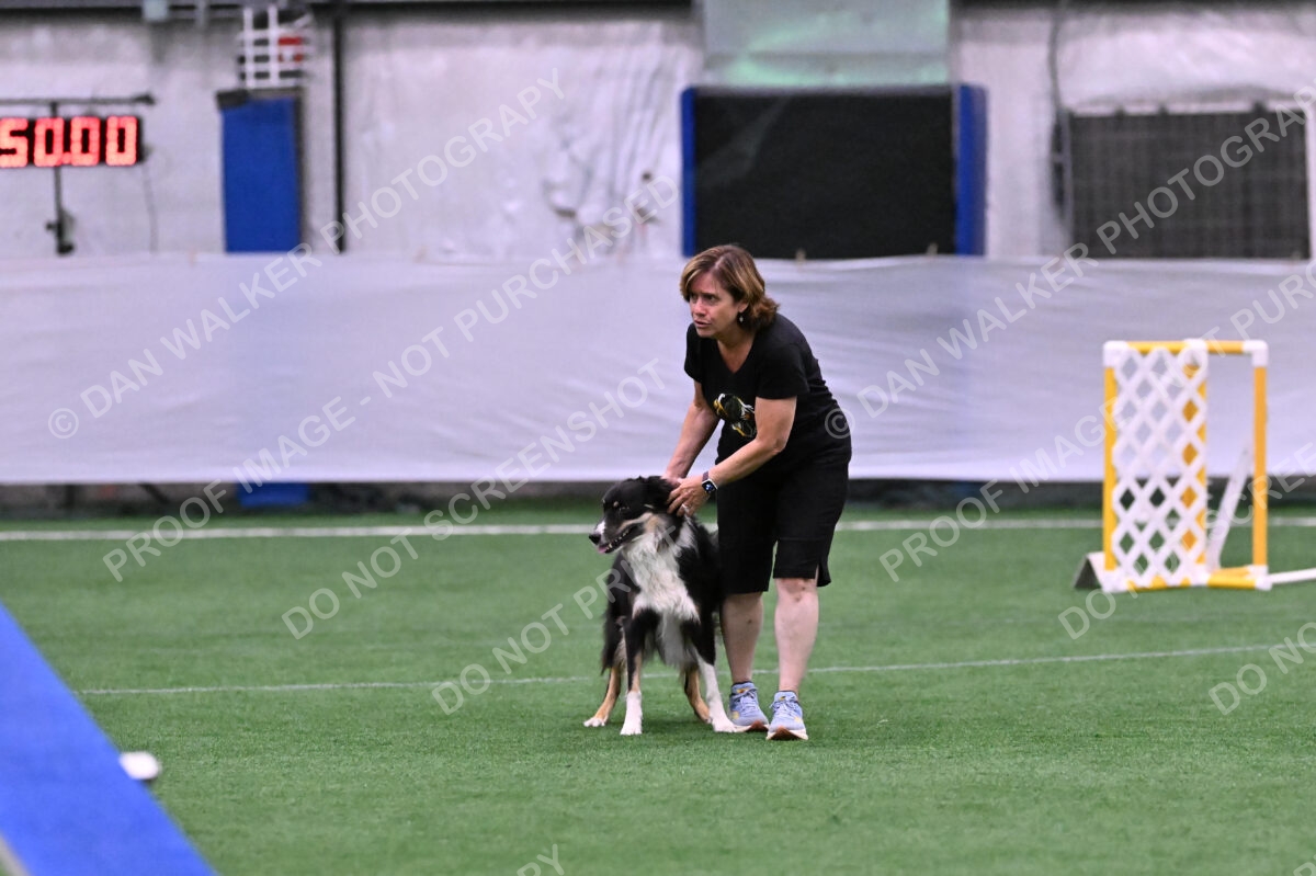 Mickey-Carolyn-Lincoln-04788