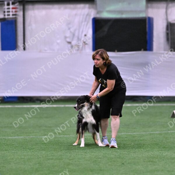 Mickey-Carolyn-Lincoln-04788