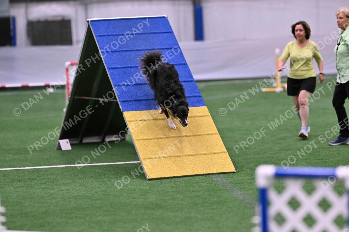 Mickey-Carolyn-Lincoln-04792