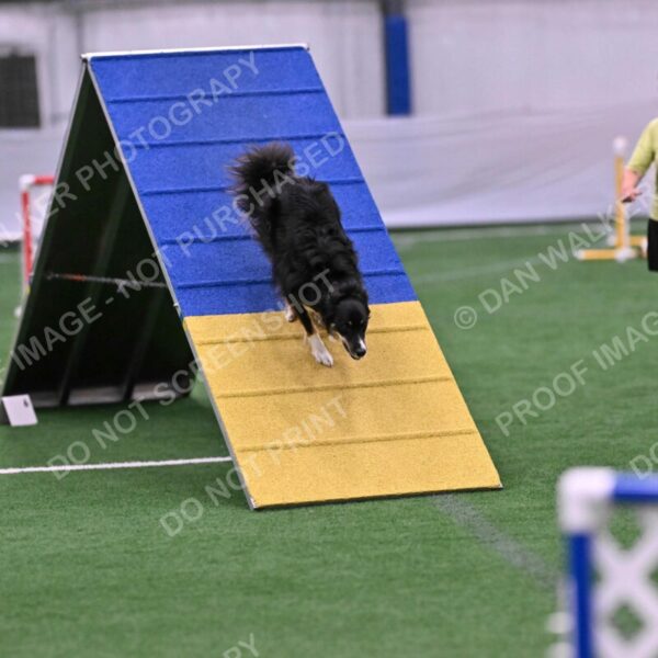 Mickey-Carolyn-Lincoln-04792