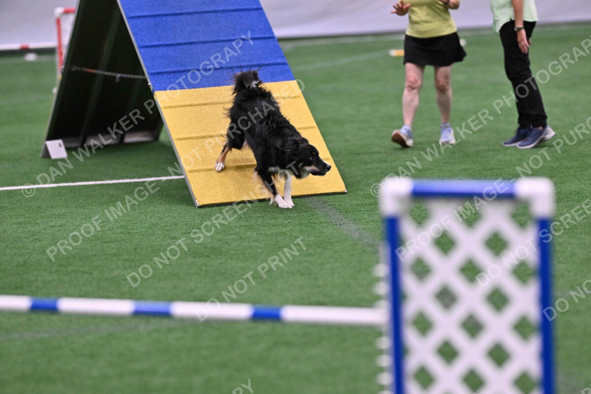 Mickey-Carolyn-Lincoln-04794