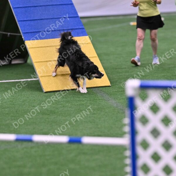 Mickey-Carolyn-Lincoln-04794