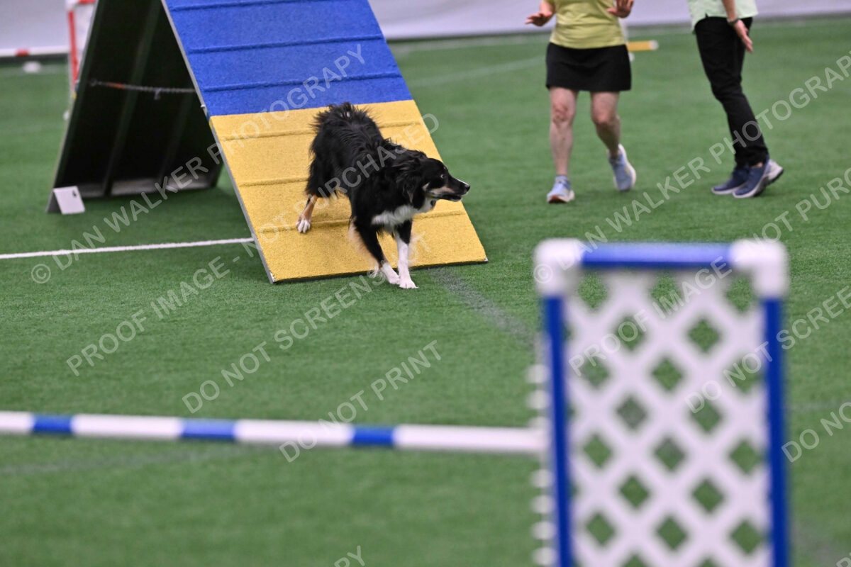 Mickey-Carolyn-Lincoln-04796