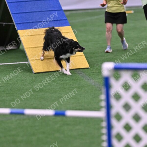 Mickey-Carolyn-Lincoln-04796