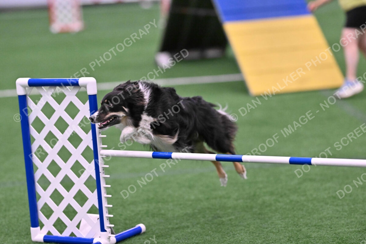 Mickey-Carolyn-Lincoln-04800