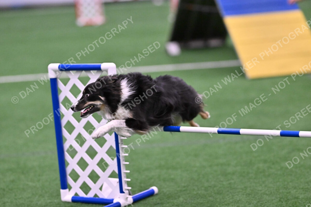 Mickey-Carolyn-Lincoln-04801