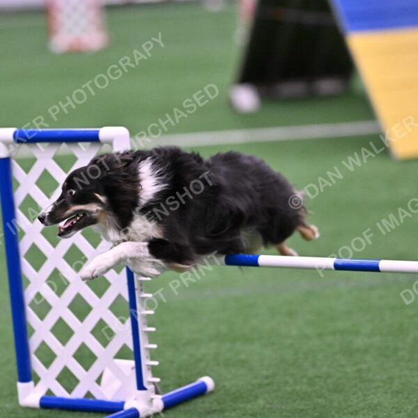 Mickey-Carolyn-Lincoln-04801