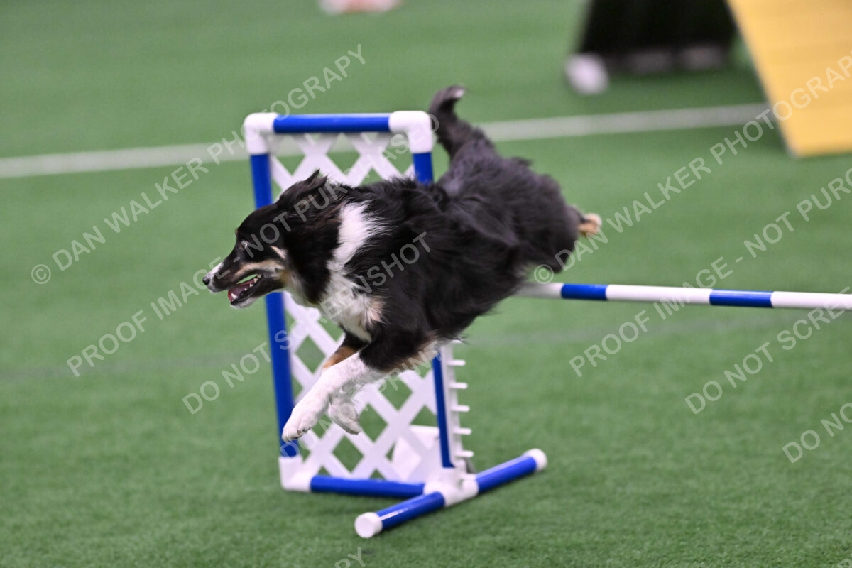 Mickey-Carolyn-Lincoln-04802