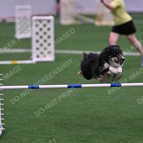 Mickey-Carolyn-Lincoln-04806