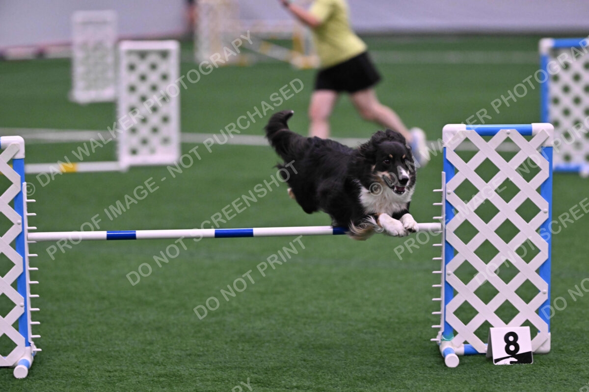 Mickey-Carolyn-Lincoln-04807