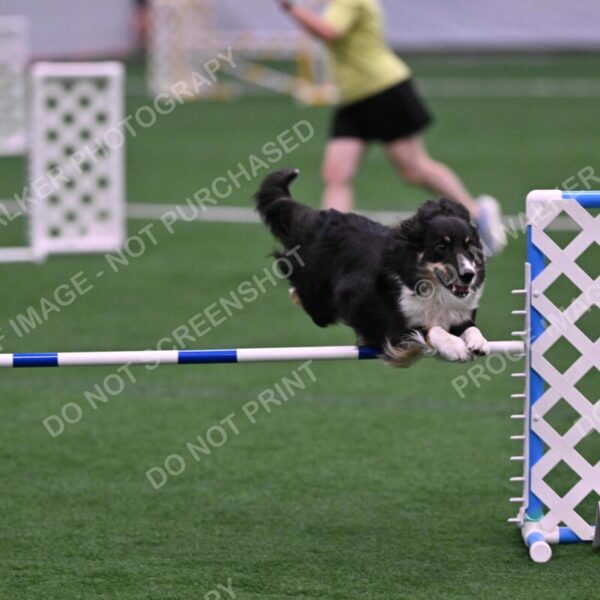 Mickey-Carolyn-Lincoln-04807