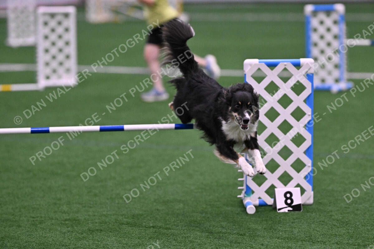 Mickey-Carolyn-Lincoln-04808