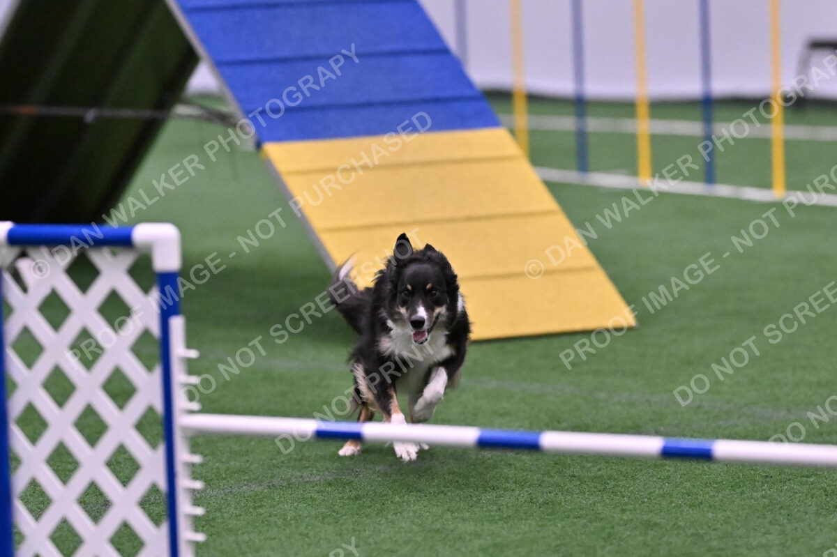 Mickey-Carolyn-Lincoln-04812