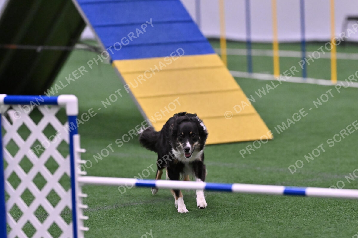 Mickey-Carolyn-Lincoln-04813