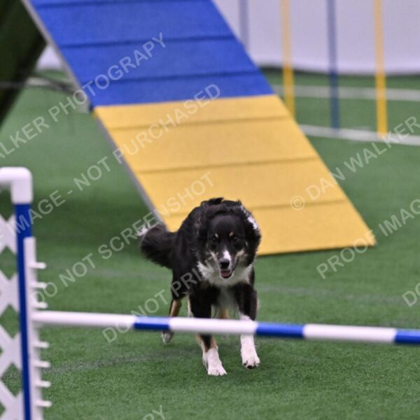 Mickey-Carolyn-Lincoln-04813