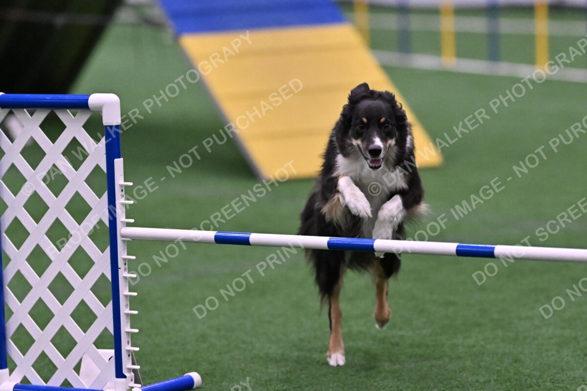 Mickey-Carolyn-Lincoln-04821