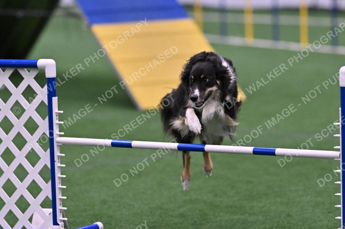 Mickey-Carolyn-Lincoln-04822