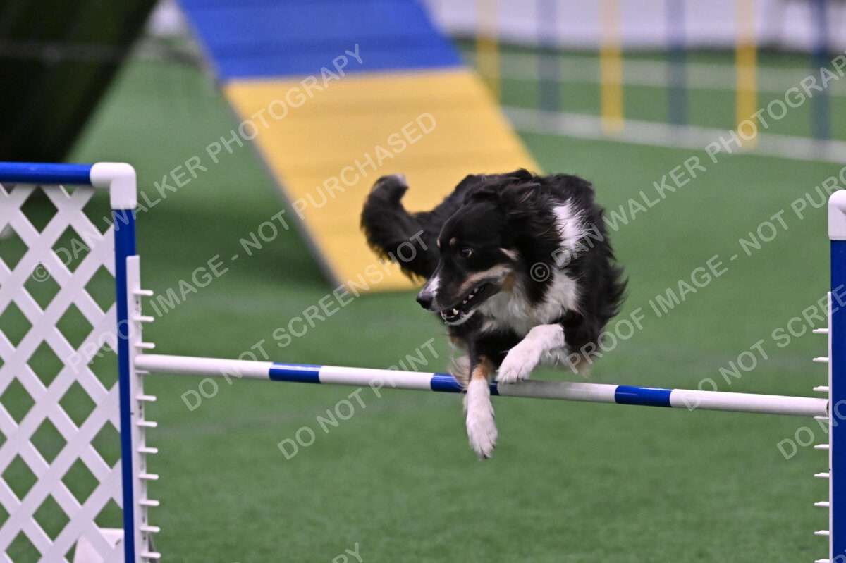 Mickey-Carolyn-Lincoln-04823