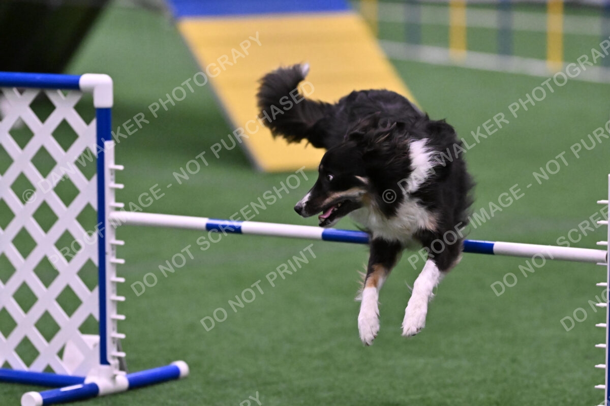 Mickey-Carolyn-Lincoln-04824