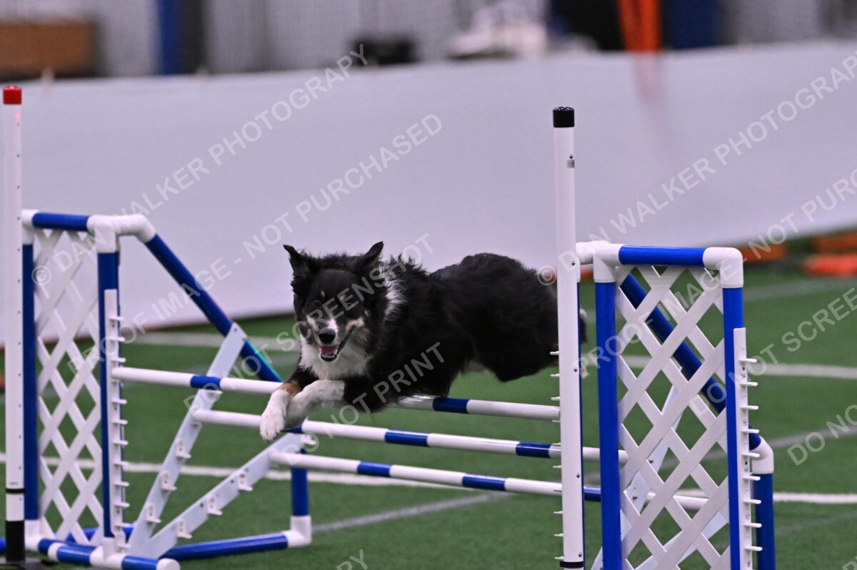 Mickey-Carolyn-Lincoln-04832