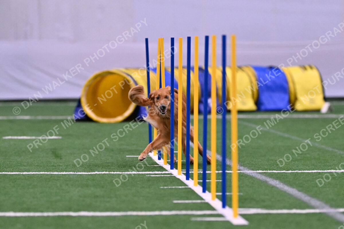 Mister-Rogers-Megan-Sapsford-05632