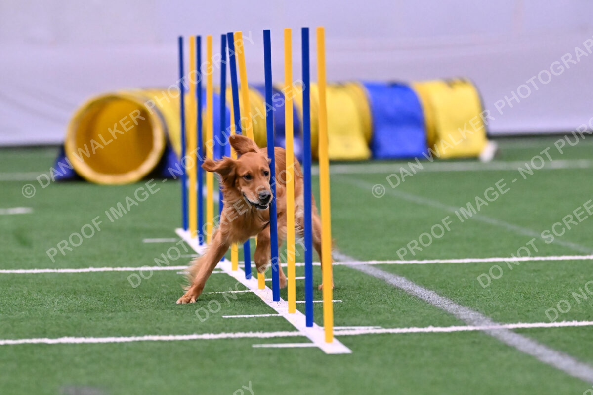 Mister-Rogers-Megan-Sapsford-05649