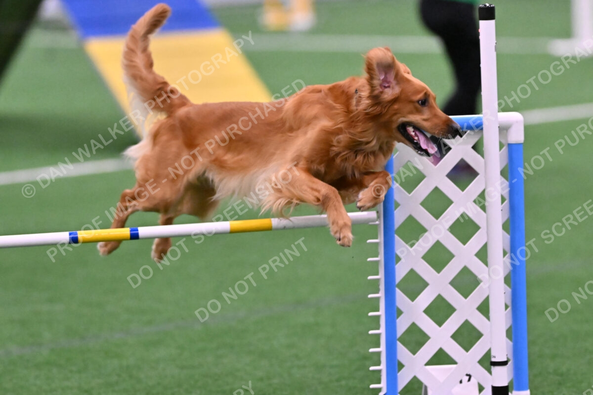 Mister-Rogers-Megan-Sapsford-05674