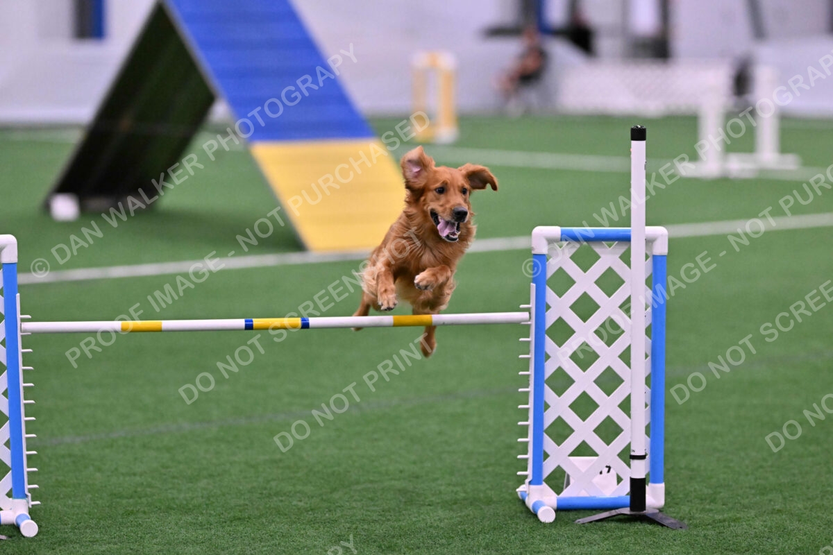 Mister-Rogers-Megan-Sapsford-05679