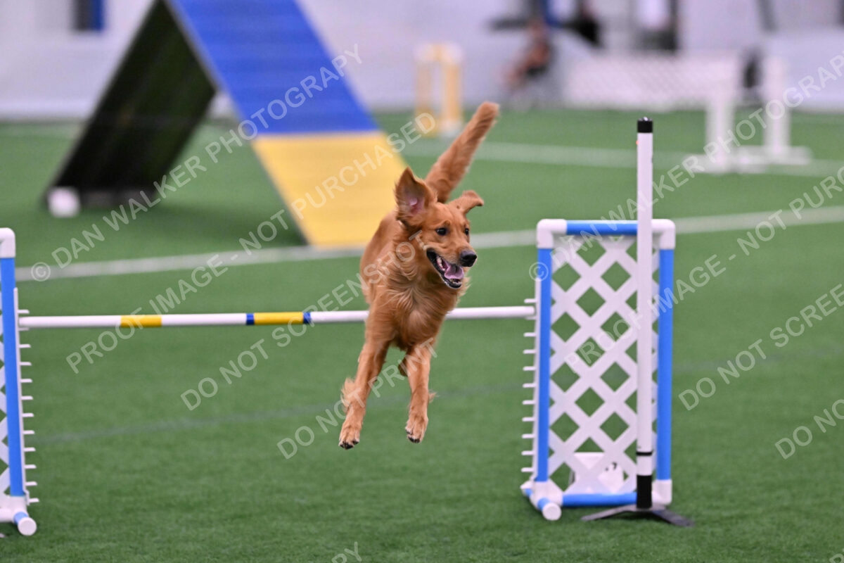 Mister-Rogers-Megan-Sapsford-05681