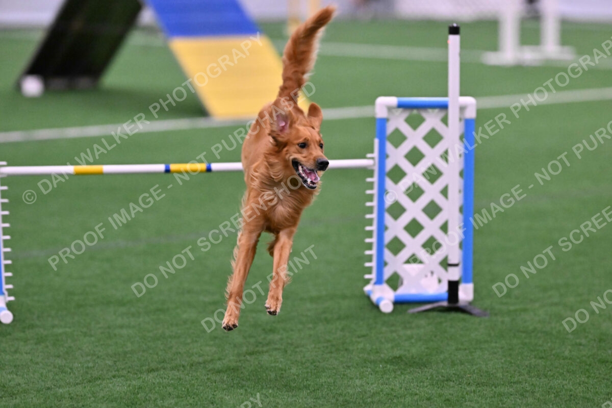 Mister-Rogers-Megan-Sapsford-05682