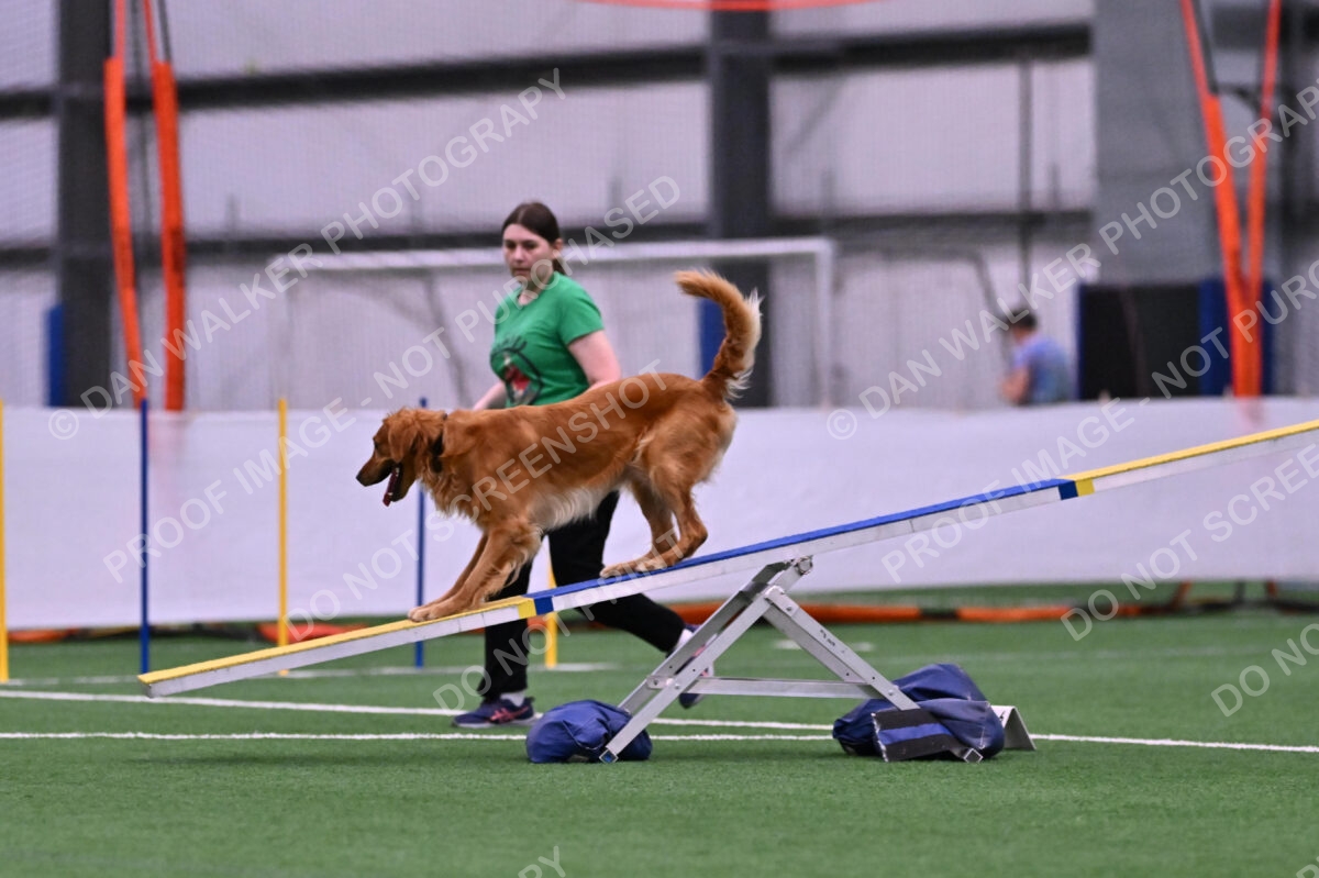 Mister-Rogers-Megan-Sapsford-05683