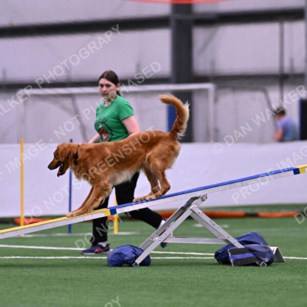 Mister-Rogers-Megan-Sapsford-05683