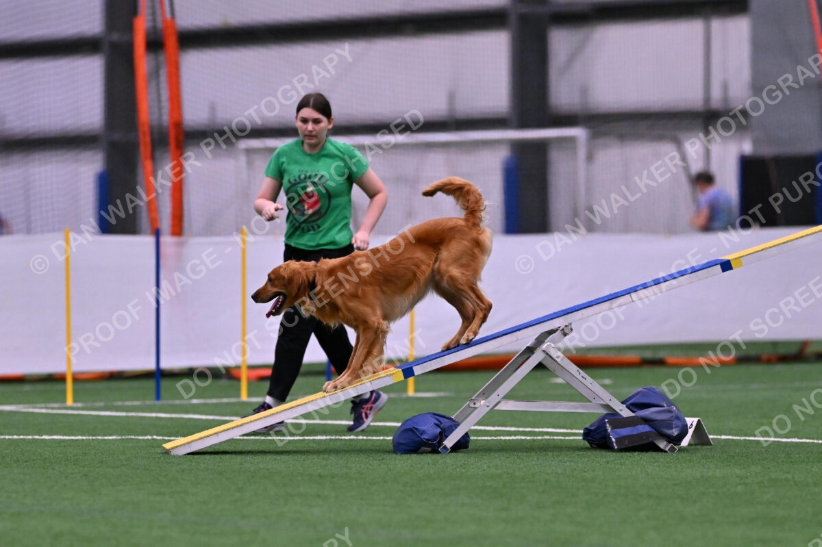 Mister-Rogers-Megan-Sapsford-05684