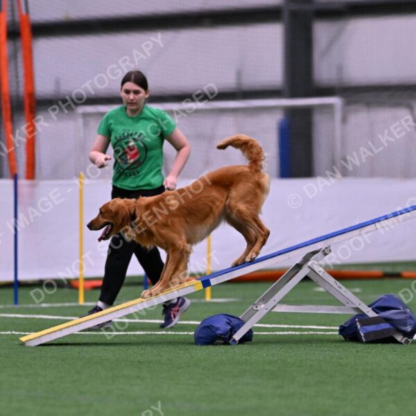 Mister-Rogers-Megan-Sapsford-05684