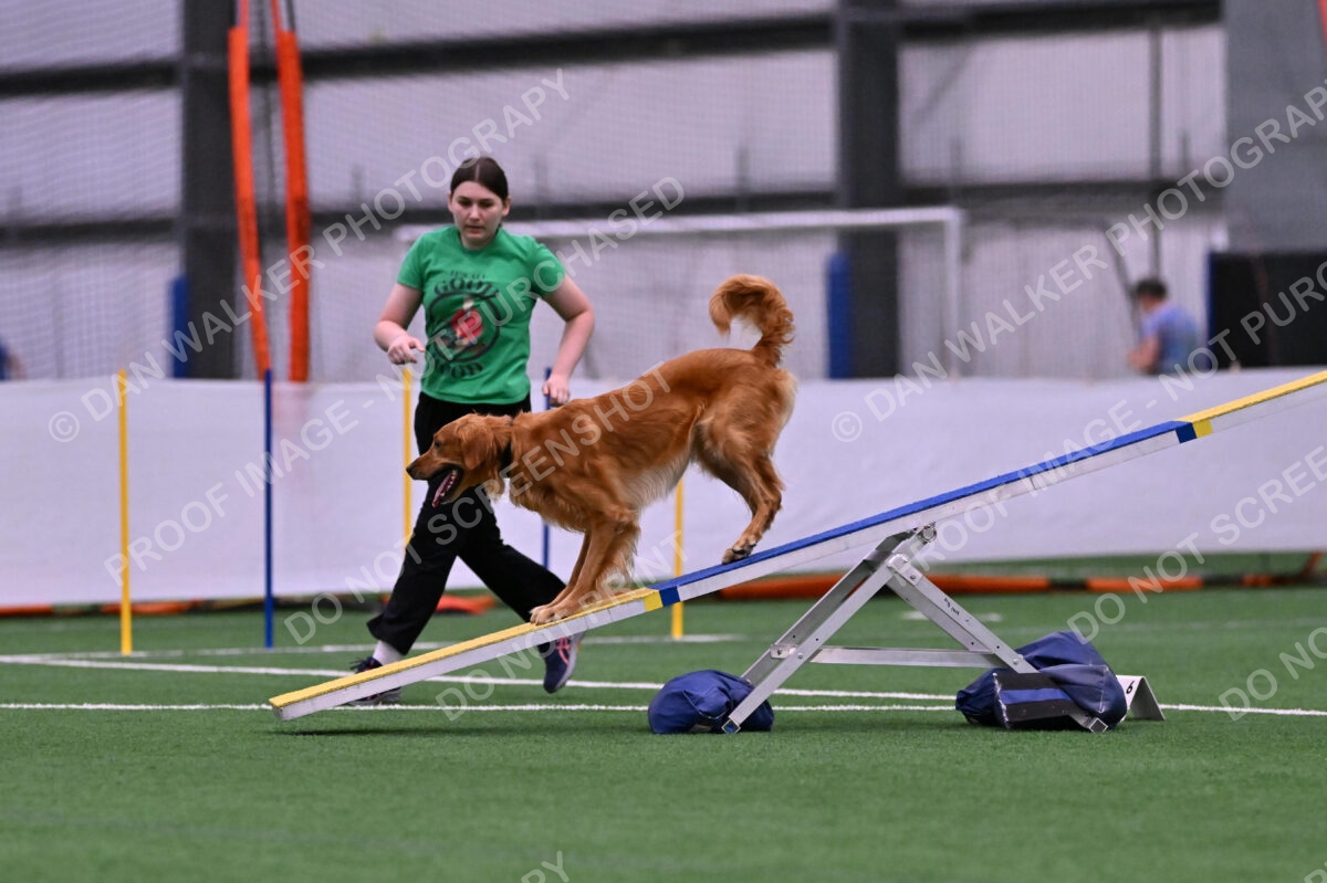 Mister-Rogers-Megan-Sapsford-05685