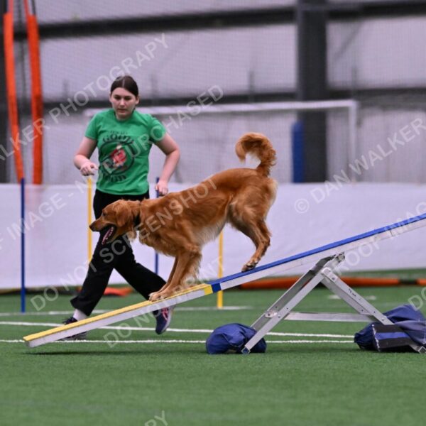 Mister-Rogers-Megan-Sapsford-05685