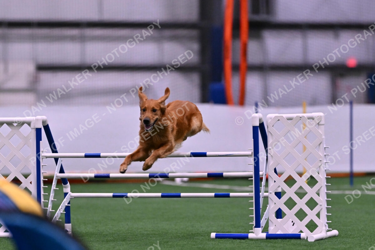 Mister-Rogers-Megan-Sapsford-05686