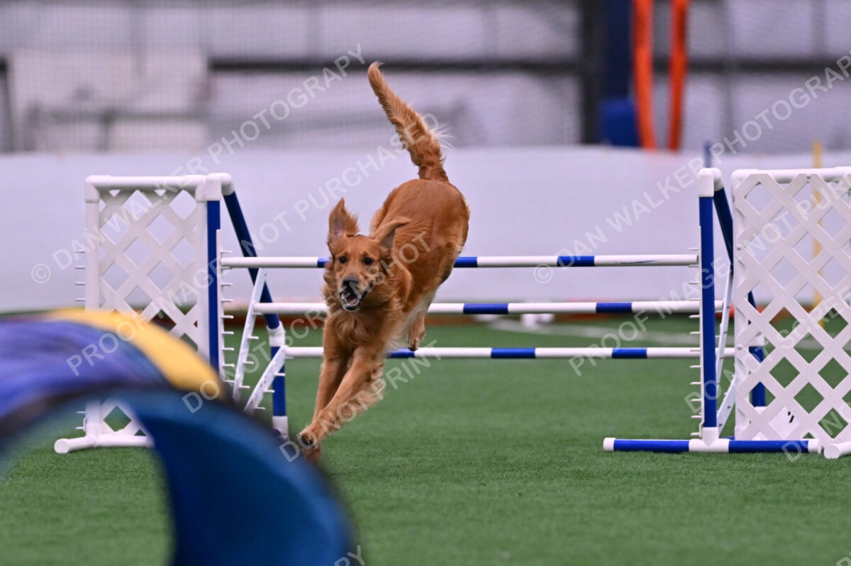 Mister-Rogers-Megan-Sapsford-05688