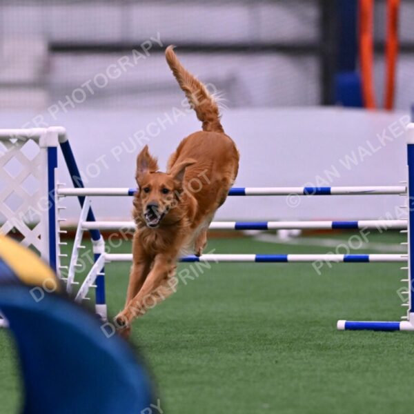 Mister-Rogers-Megan-Sapsford-05688