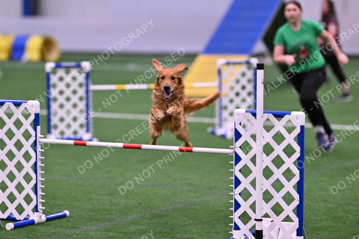 Mister-Rogers-Megan-Sapsford-05694