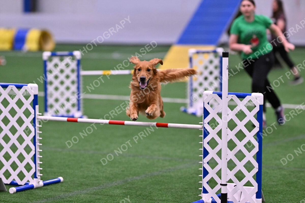 Mister-Rogers-Megan-Sapsford-05695