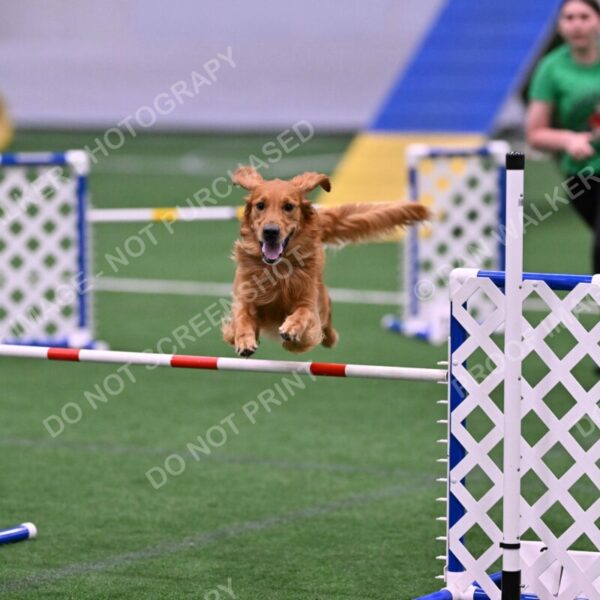 Mister-Rogers-Megan-Sapsford-05695