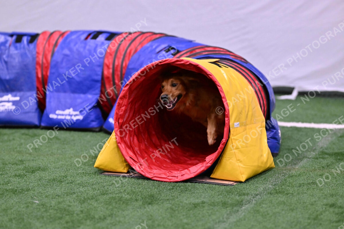 Mister-Rogers-Megan-Sapsford-05702